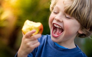 : Little boy in blue shirt eating an apple